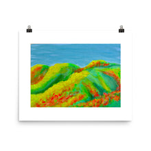 Load image into Gallery viewer, Lake Elsenore Superbloom 2019